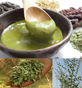 �w�i�C���[�W�摜